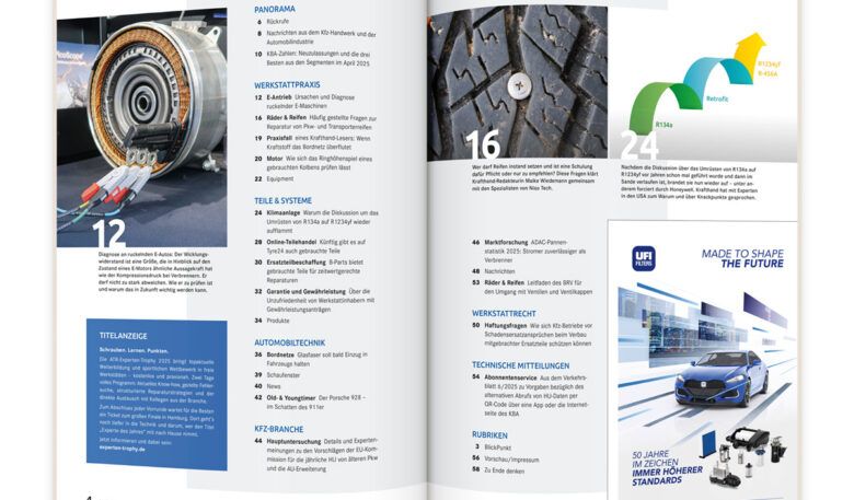 Blick in die Krafthand 11/2025