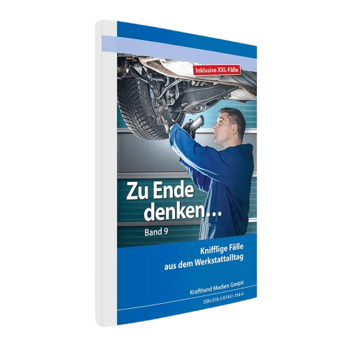 Zu Ende denken... Band 9