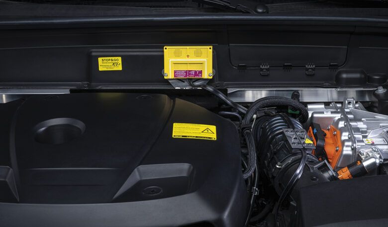 Expertentipps zur Marderabwehr