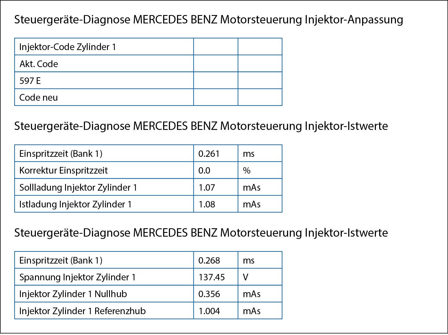 Datenliste der Istwerte eines Piezoinjektors