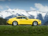 Probleme mit Korrosion im Innenraum, Sicherheitsgurt und Lenkfähigkeit