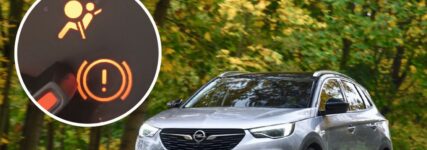 Steuergerät nur selten defekt